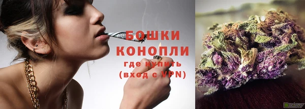 прущие грибы Иноземцево