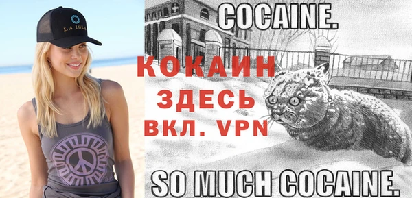 твердый Иннополис