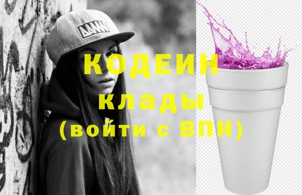 твердый Иннополис