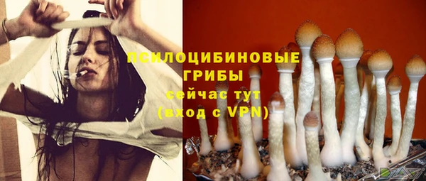 твердый Иннополис